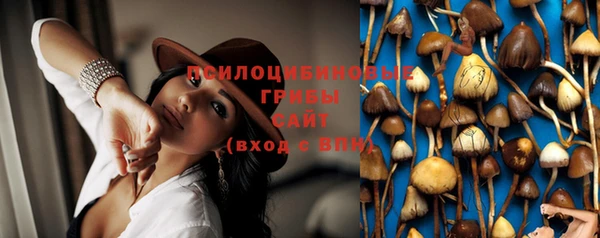 тгк Осинники