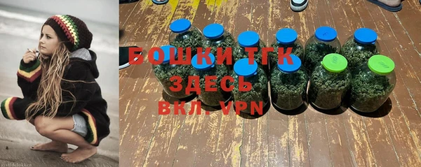 эйфоретик Осташков