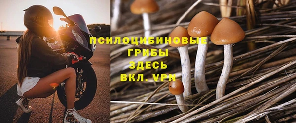 шишки Остров