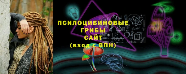 тгк Осинники