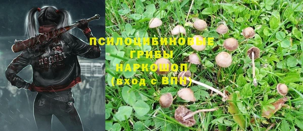 эйфоретик Осташков