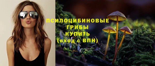 тгк Осинники